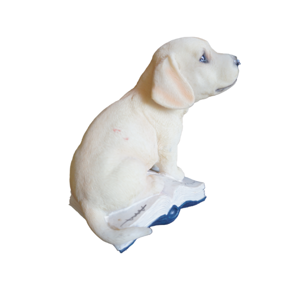 Vintage labrador műanyag figura, dekoráció, yupie