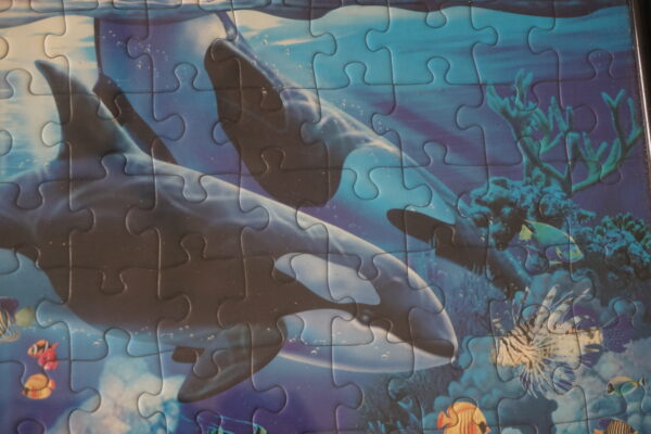 Tengeri puzzle kép (204 darabos, keretben, üveg borítással), dekoráció, képek, yupie